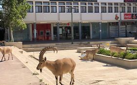 Tzukim Boutique - Desert Traveler's Hotel in Mitzpe Ramon - מלון בוטיק צוקים